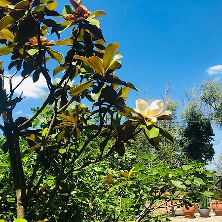 Bella Garden *